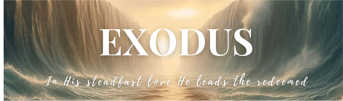 Women's Precept Fall Bible Study - Exodus