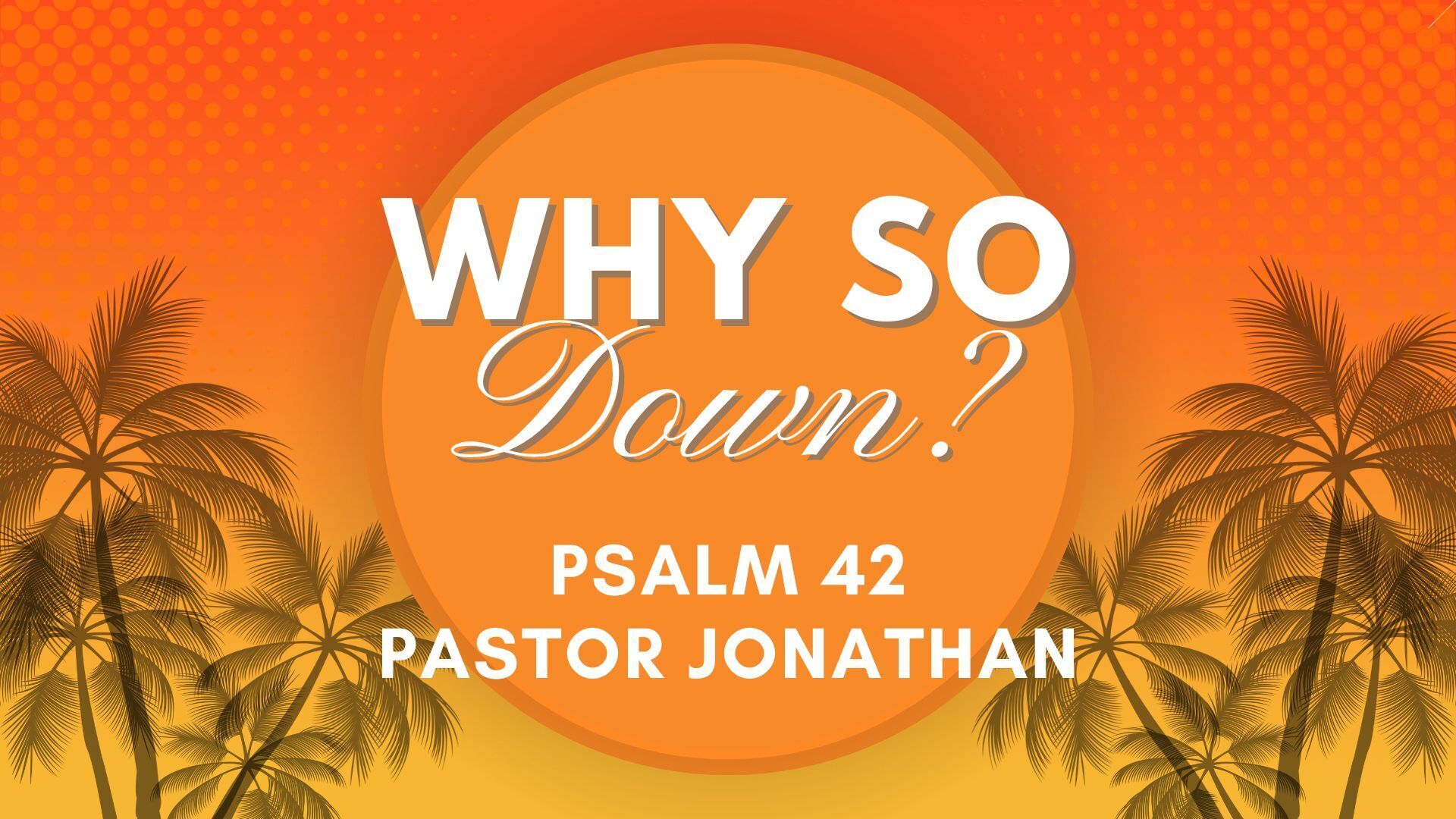 Preview of PSALMS - Why So Down?